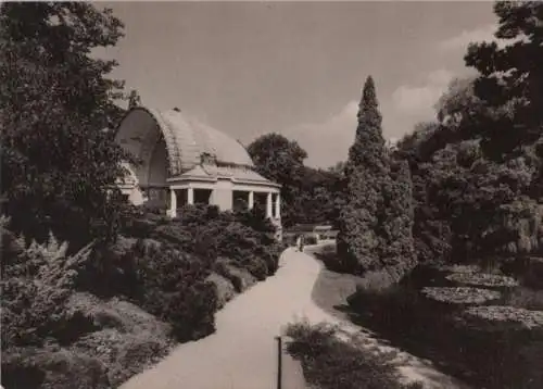 Bad Wildungen - Seerosenteich - ca. 1955