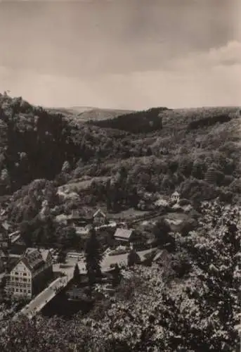 Treseburg - Blick vom Aussichtspunkt Weißer Hirsch