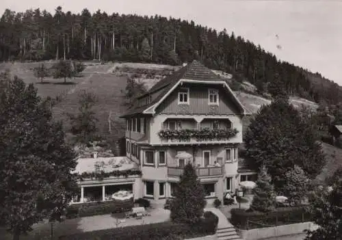 Enzklösterle - Pension Sonnenblick - 1966