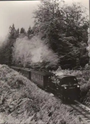 Putbus - Schmalspurbahn nach Gähren, bei Granitz - 1977