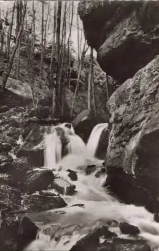 Zwingenberg (Baden) - Wolfsschlucht