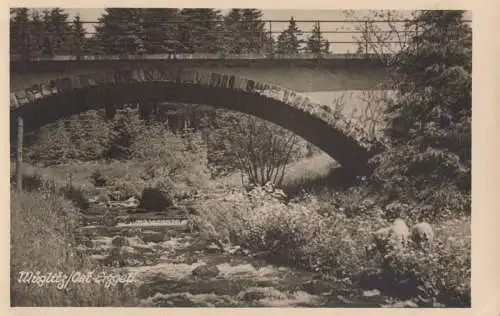 Erzgebirge - Müglitz, Brücke