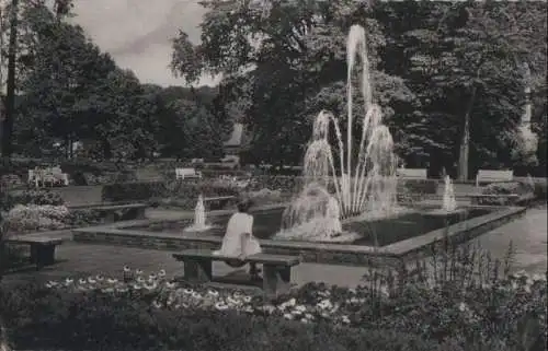 Bad Driburg - Partie im Kurpark - 1961