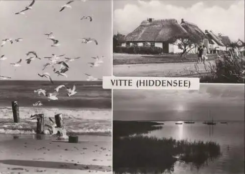 Hiddensee - Vitte - 4 Teilbilder - 1981