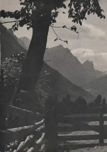 Österreich - Österreich - Stubaital - ca. 1955