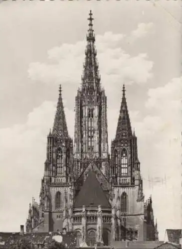 Ulm - Münster