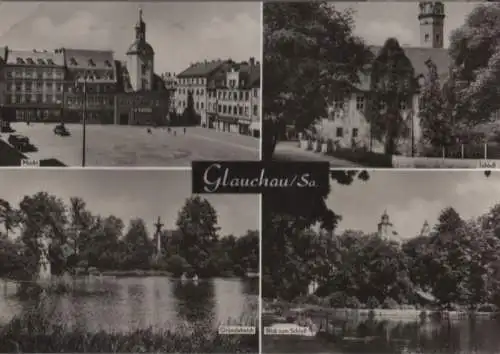 Glauchau - u.a. Gründelteich - ca. 1975