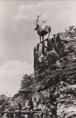 Höllental (Schwarzwald) - Hirschsprung