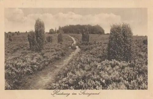 Lüneburger Heide - Heideweg im Steingrund