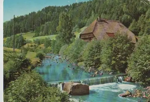 Schwarzwald - 1974