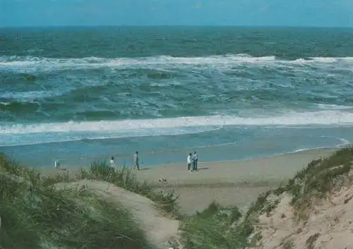 Nordsee - Dünen - 1993