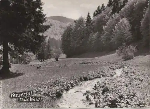 Vessertal - Thüringer Wald