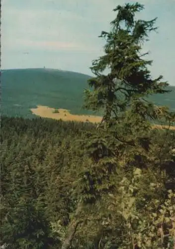 Harz - Blick vom Achtermann - 1965