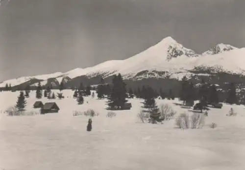 einzelne Häuser im Hochwald - 1972