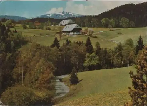 Hinterzarten - Oberzarten