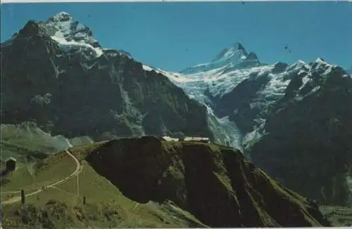 Schweiz - Grindelwald - Schweiz - First - Wetterhorn