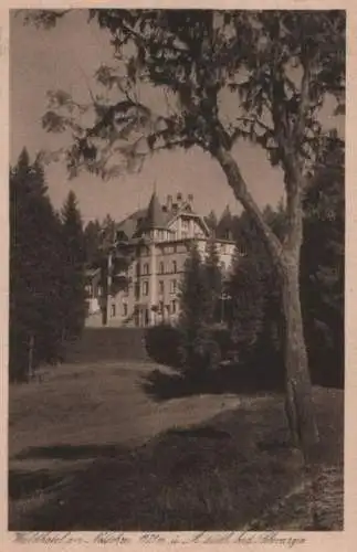 Notschrei - Waldhotel - 1928