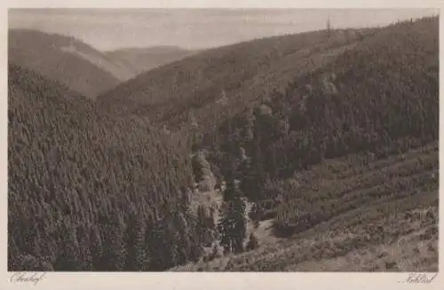 Oberhof - Blick ins Kehltal - ca. 1945