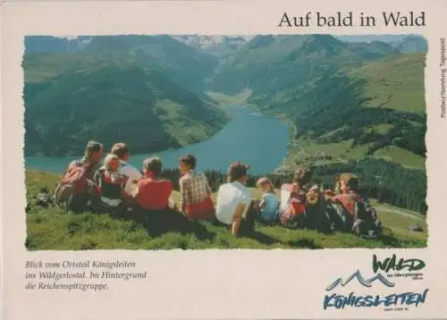 Österreich - Österreich - Wald im Pinzgau - ca. 1980