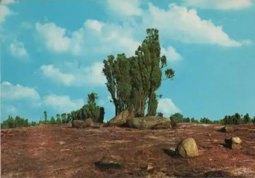 Lüneburger Heide - Billungstein - 1978