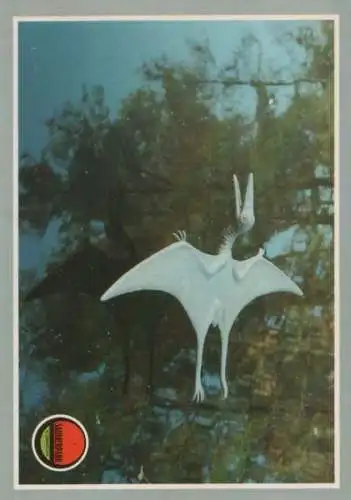 Bautzen-Kleinwelka - Saurierpark, Pterodactylos - 1989