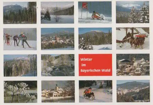 Bayerischer Wald - Winter - ca. 2000