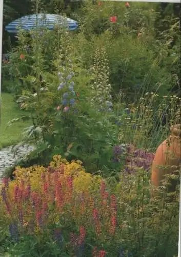 Wildblumen im Garten