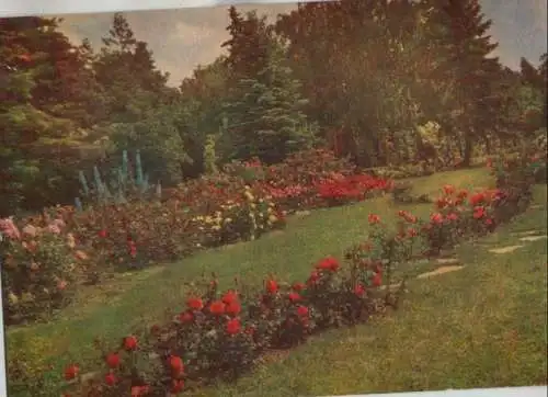 Sangerhausen - Rosarium - 1973