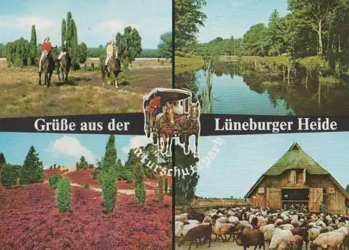 Lüneburger Heide - 1978