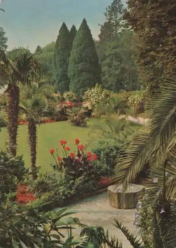 Mainau (Insel) - Blick vom Palmenhain - ca. 1980