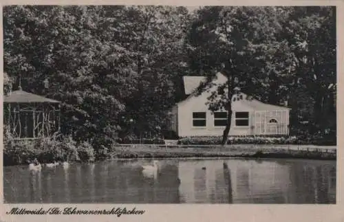 Mittweida - Schwanenschlößchen - 1962