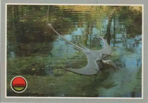 Bautzen-Kleinwelka - Saurierpark, Ramphorhynchus - 1989