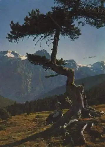 Schweiz - Schweiz - Val Mingèr - Nationalpark - 1962