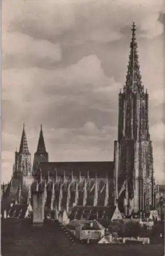 Ulm - Münster - 1956