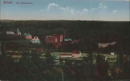 Erfurt - Steigerwald - ca. 1920