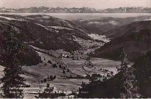 Feldberg / Schwarzwald - Blick ins Menzenschwander Tal - 1965