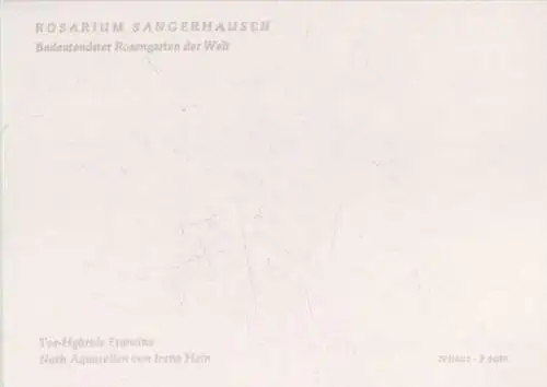 Rosarium Sangerhausen Tee-Hybride Francine
