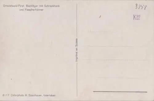 Schweiz - Grindelwald - Schweiz - Bachläger