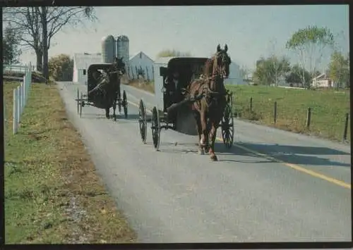 USA - USA - Amish Country - Tailgating - ca. 1980