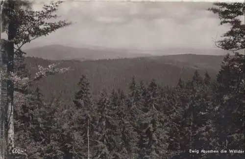 Bayerischer Wald - Blick vom Dreisessel