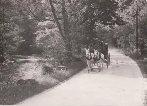 Schwarza - Postkutsche im Tal