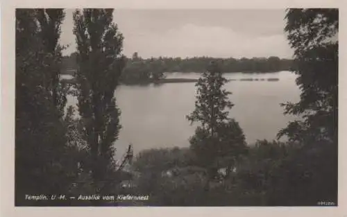 Templin, Ausblick vom Kiefernnest - 1954