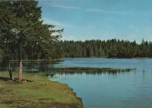 Schweiz - Schweiz - Franches Montagnes - Freiberge - ca. 1980