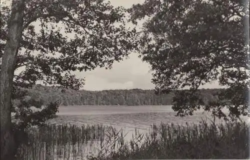 Werbellinsee - Ansicht