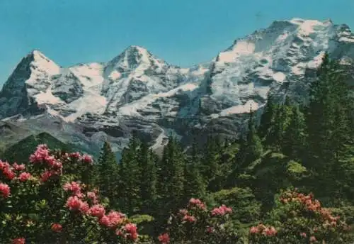 Schweiz - Schweiz - Berner Oberland - Eiger, Mönch, Jungfrau - 1973