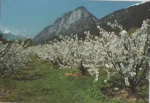 Österreich - Österreich - Tirol - Frühling - ca. 1980