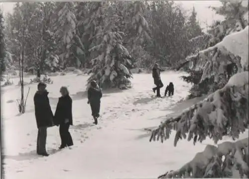 Menschen im verschneiten Wald - ca. 1965