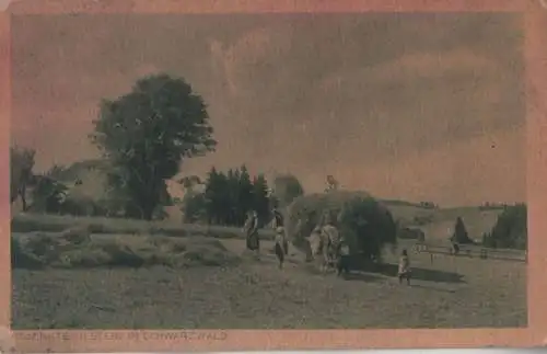 Schwarzwald - Heuernte in Steig - ca. 1950