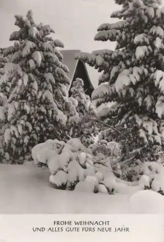 Frohe Weihnacht Schnee