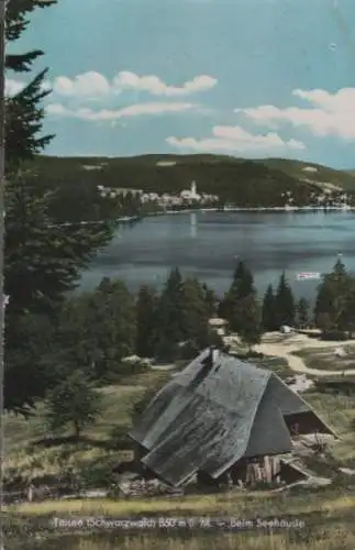 Titisee - beim Seehäusle - 1960